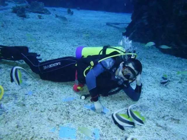 hahabetcom官网星辰大海
